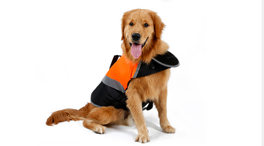 Pet Life Jacket for Dogs - Swimming Vest Outfit